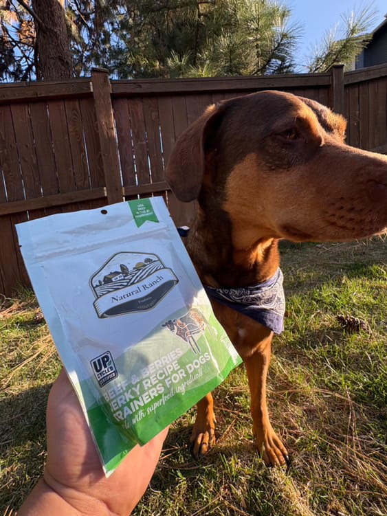 Real Beef & Berries Dog Treats - Superfood Blend, Grain-Free, USA Made - Image 4