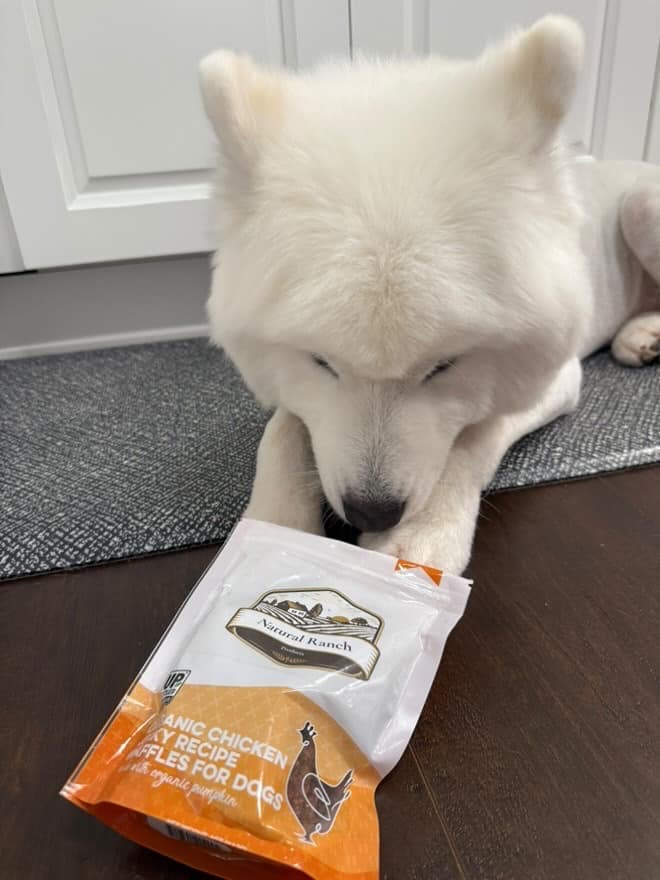 Organic Chicken Jerky Waffle Dog Treats - 95% Organic, Upcycled - Image 4